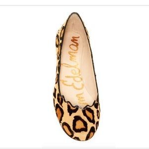 Sam Edelman Alaine in Leopard 🐆